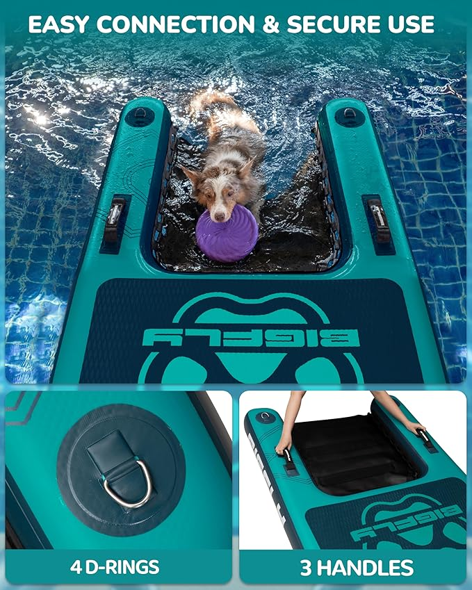 BIGFLY Blue Dog Ramp Ladder Dock on Water