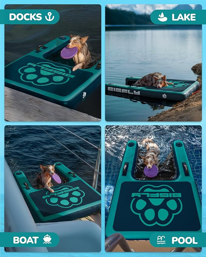 BIGFLY Blue Dog Ramp Ladder Dock on Water