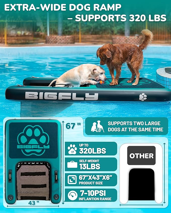 BIGFLY Blue Dog Ramp Ladder Dock on Water