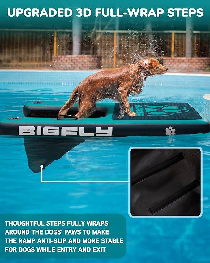 BIGFLY Blue Dog Ramp Ladder Dock on Water